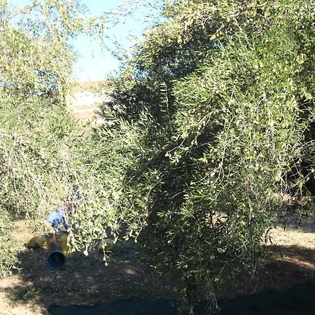 Alloggio per agriturismo La Dei Fiori *